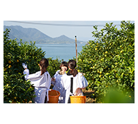 フィールドスタディーズ_国内_10