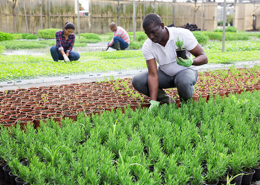 フィールドスタディーズ_02