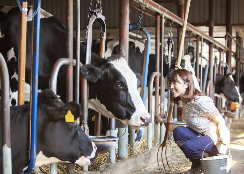 フィールドスタディーズ_04